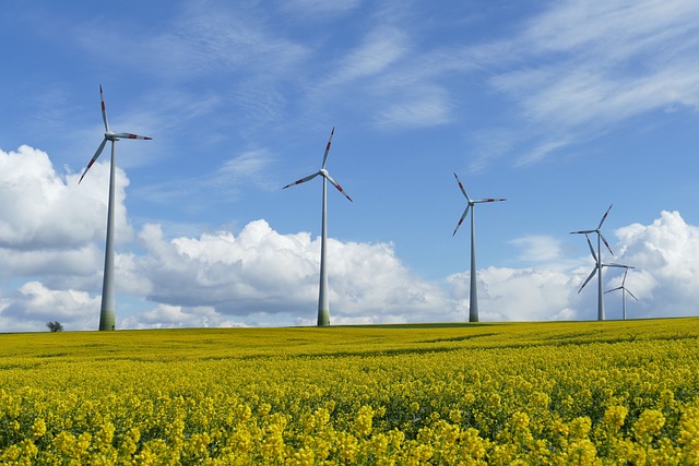 Study Says Wind Power In Midwest May Be Losing Steam