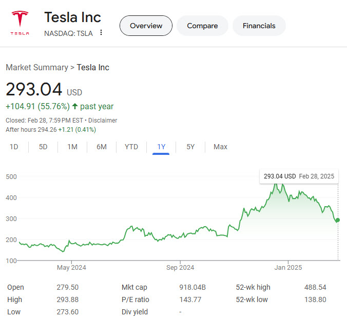 Tesla Stock