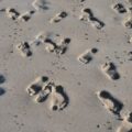 Footsteps