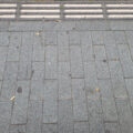 Cigarette Butts everywhere in Amsterdam
