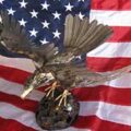 Eagle / American Flag