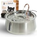 KittySpout - NewsQuill KittySpout