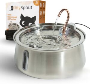 KittySpout - NewsQuill KittySpout
