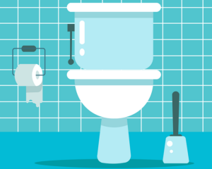 toilet - NewsQuill Toilet