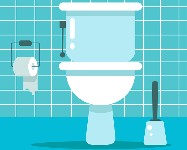 Seawater for Flushing